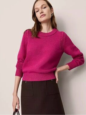 Ann Taylor Berry Splash Cable Shoulder Crewneck Sweater